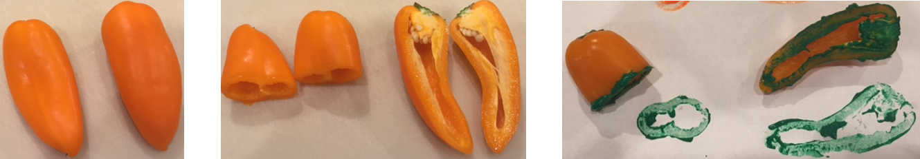 <p>Photos of peppers whole, cut horizonally, cut vertically, and with imprints of painted cross-sections.</p>

