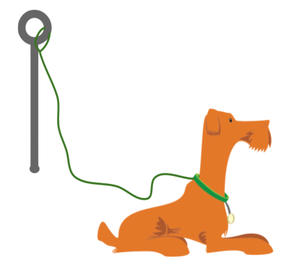 <p>Dog with leash tied to a post.</p>

