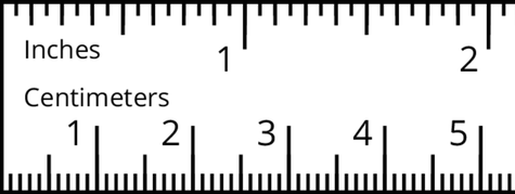 <p>A centimeter ruler. </p>
