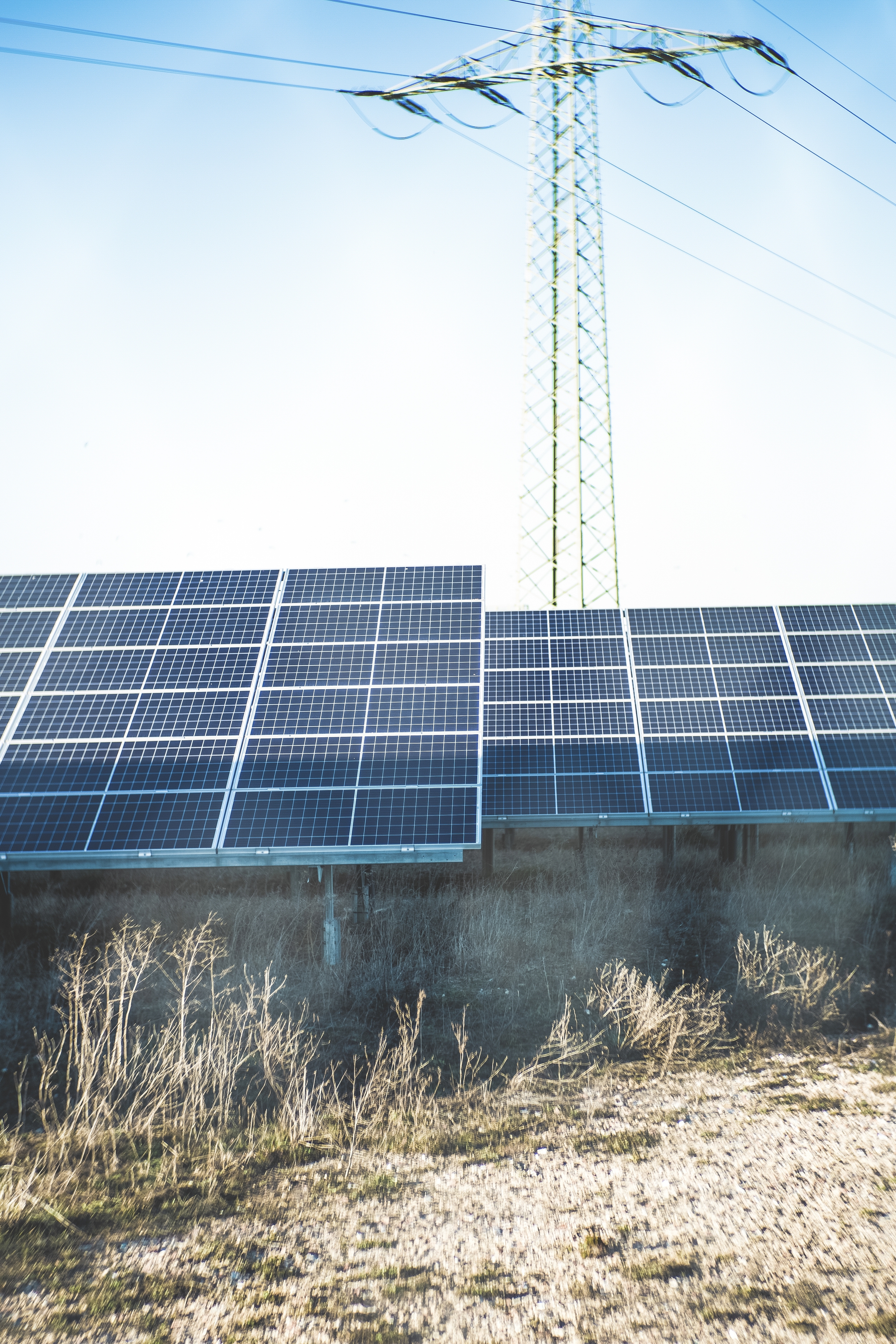 A picture of solar panels in front of power lines.