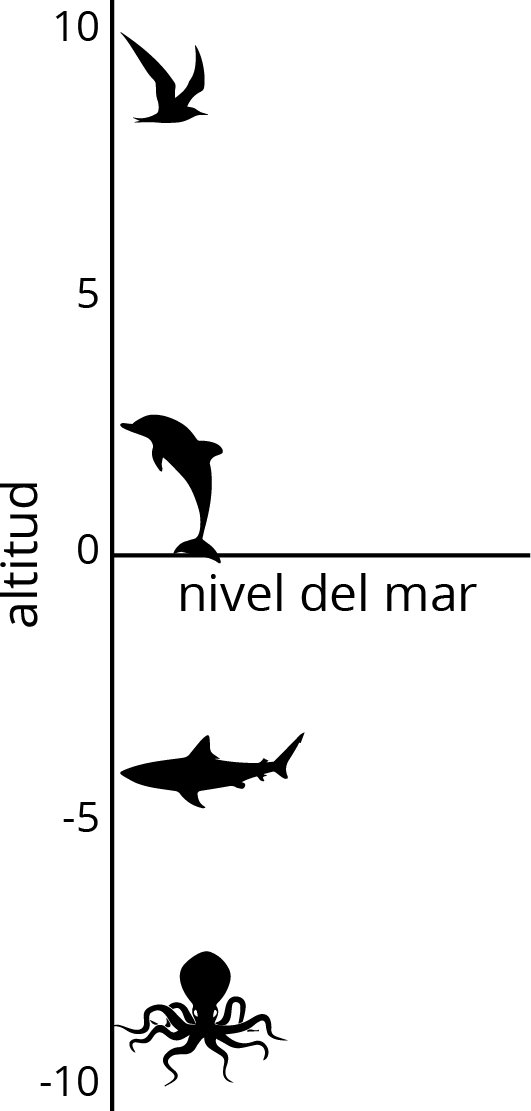 <p>Vertical number line, elevation, horizontal number line at zero, sea level.  Silhouettes of animal, from lowest to highest, octopus, shark, dolphin, seagull.</p>
