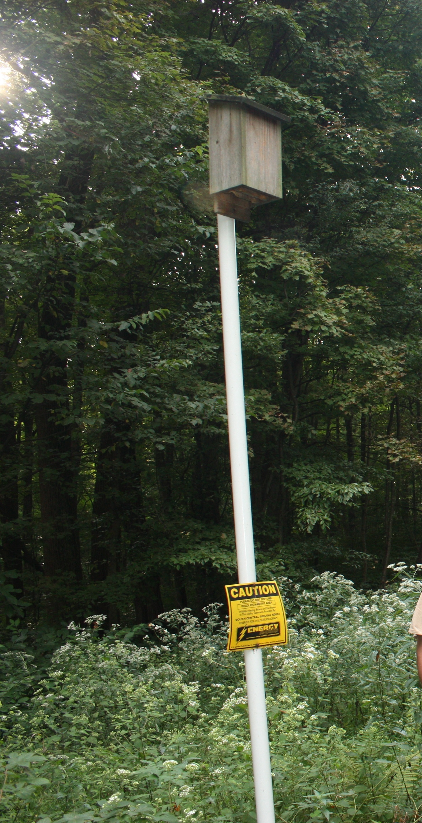 Photo of a wooden box on a tall pole.