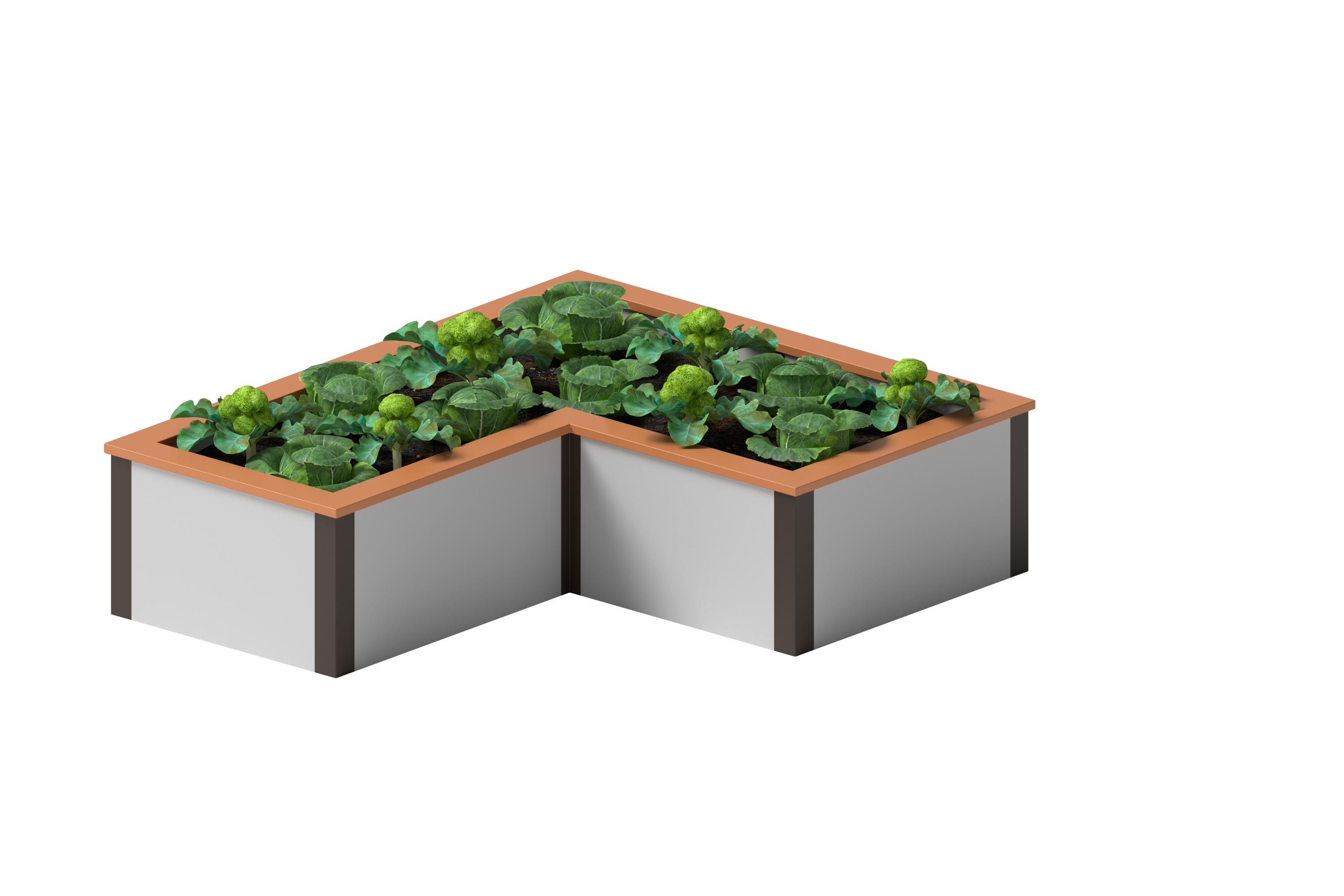 Picture of a garden composed of 2 rectangular prisms.