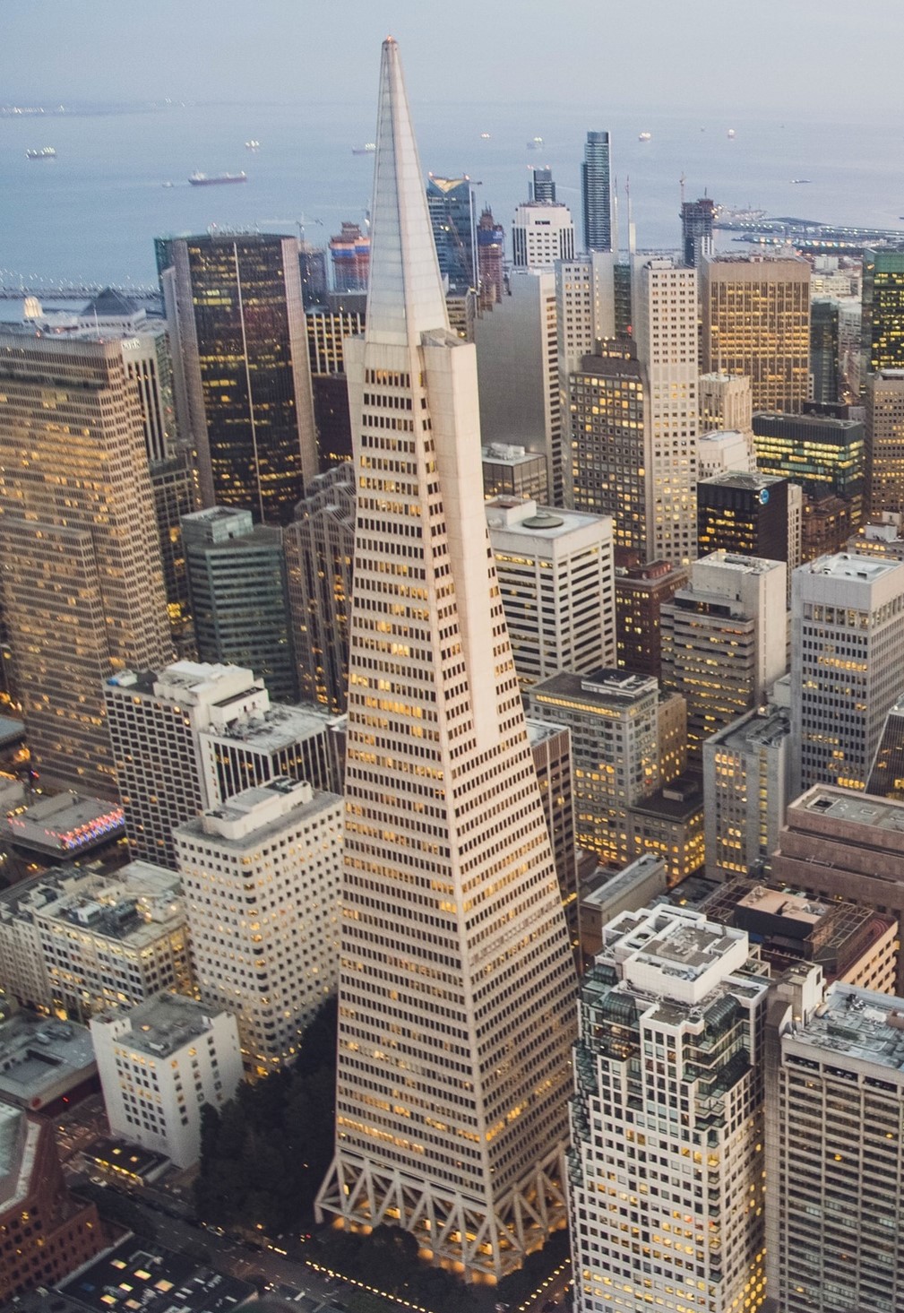 <p>Image of the Transamerica Building in San Francisco.</p>
