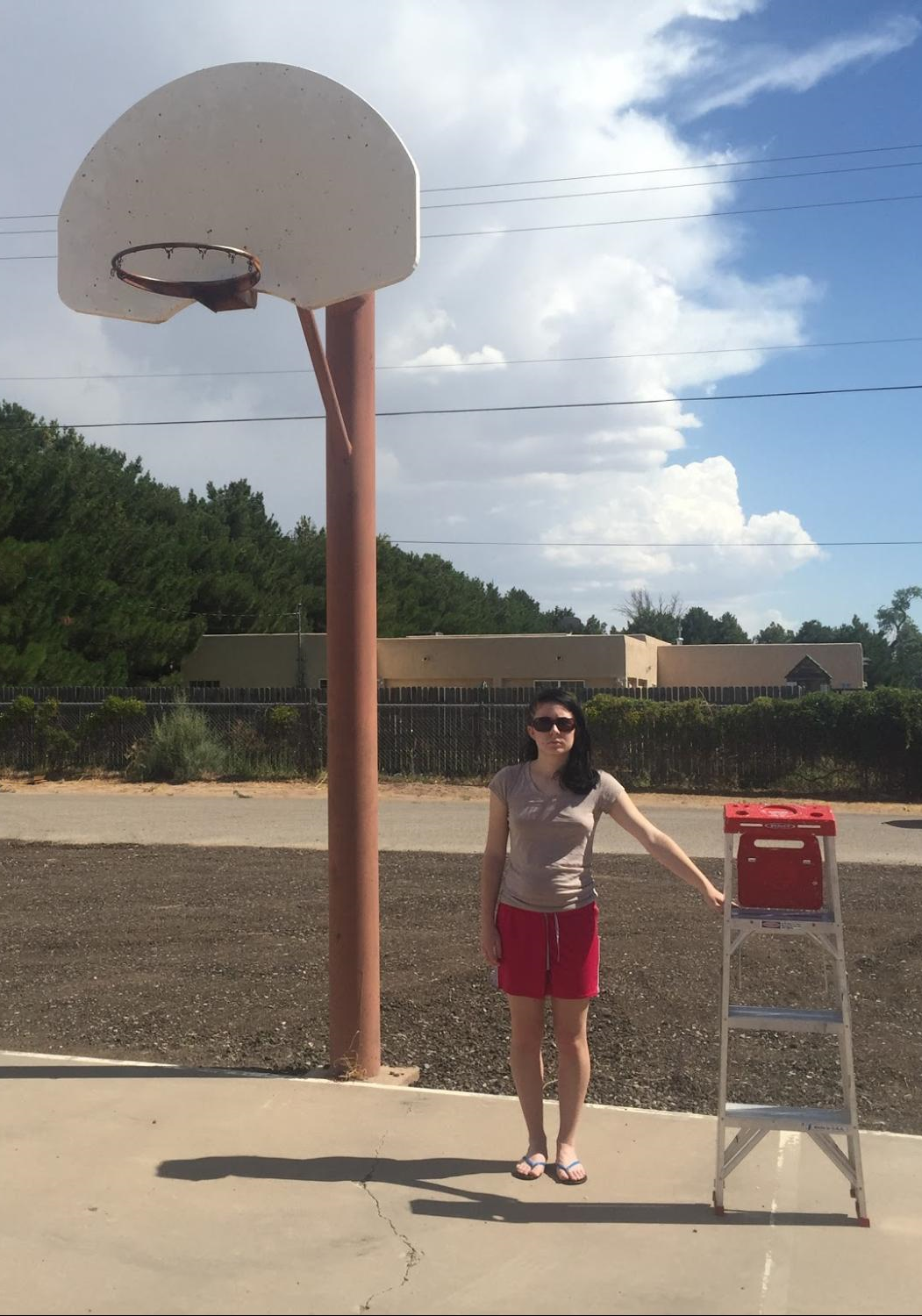 <p>A picture of a basketball hoop, woman, and step ladder. </p>
