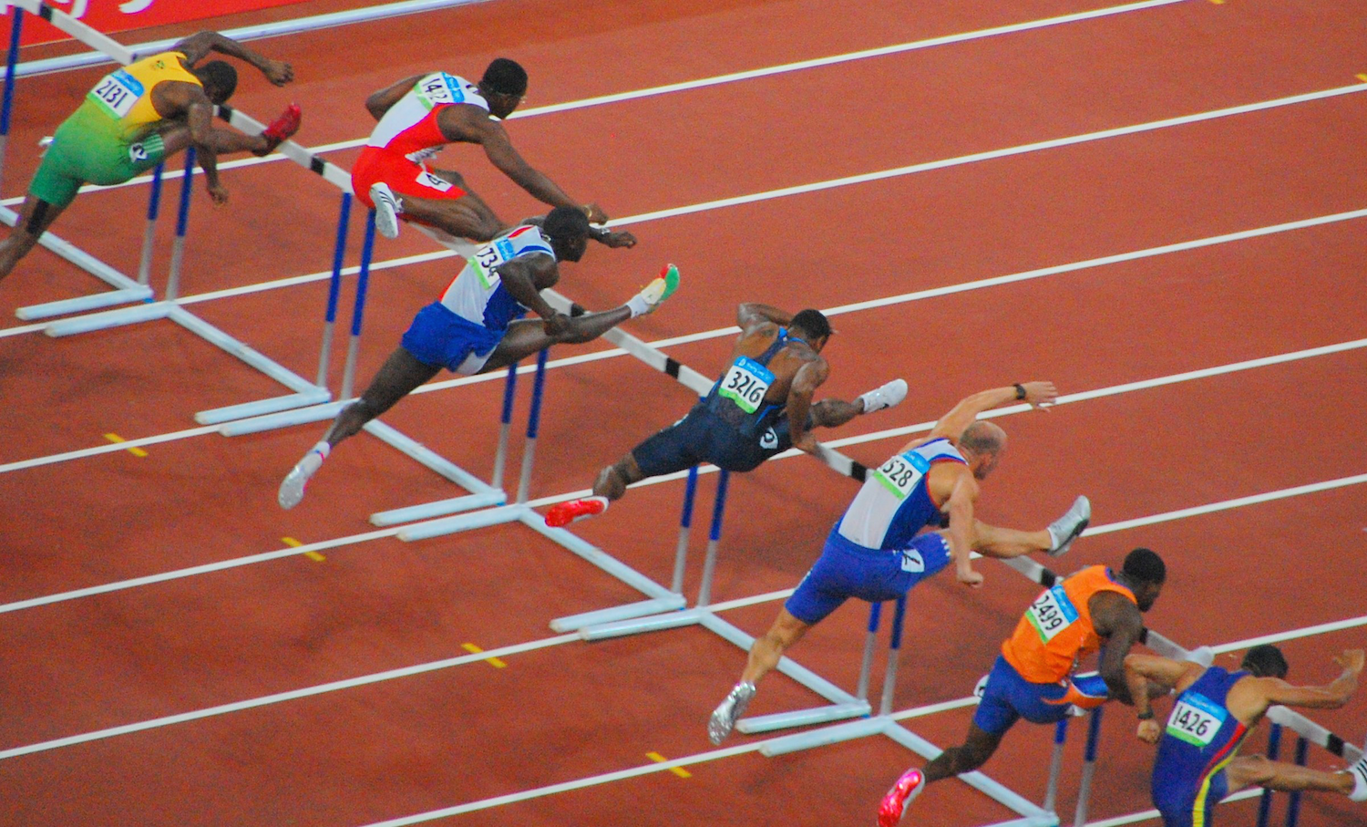 <p>Photo of a hurdle race. </p>
