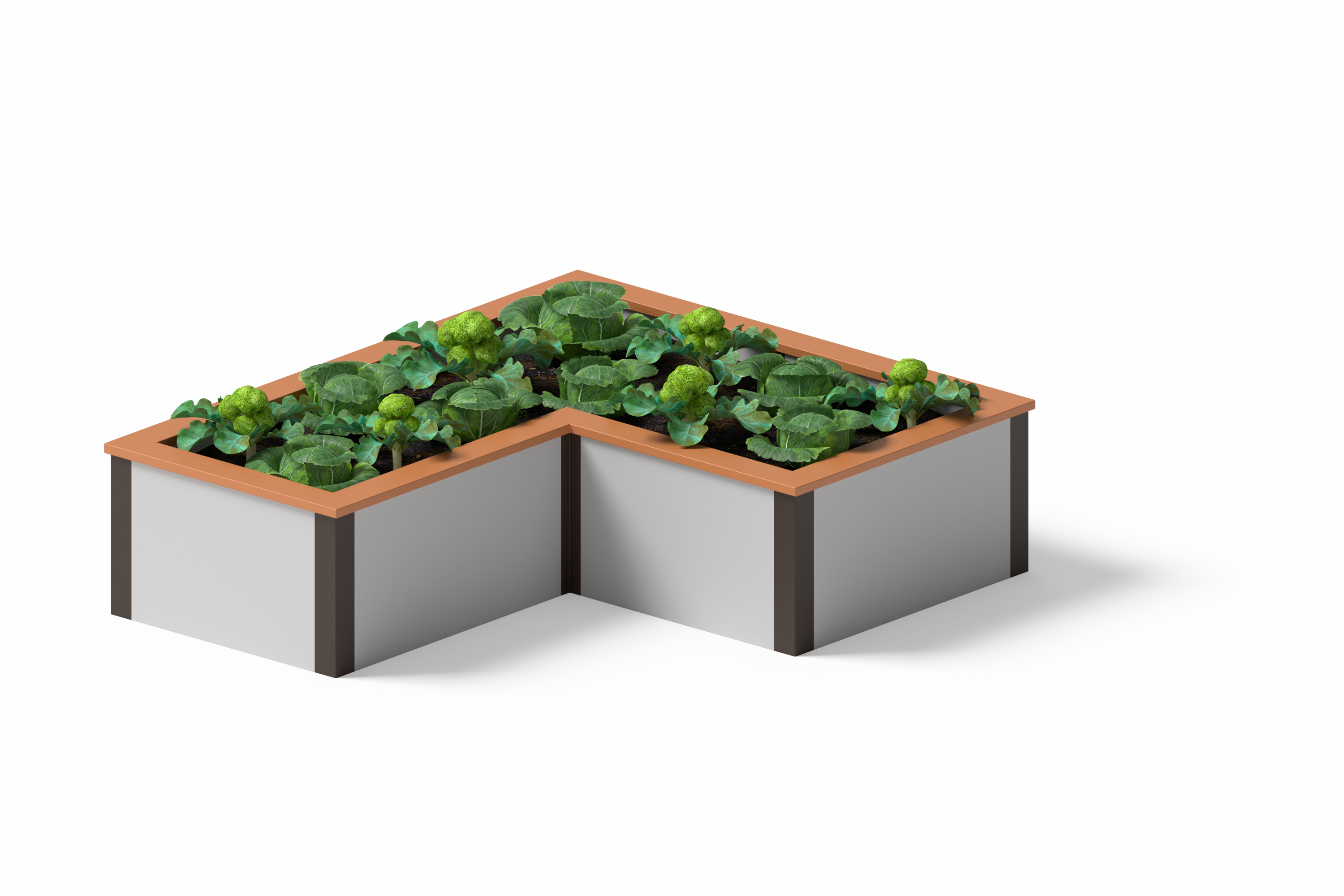 V-shaped raised bed garden. 