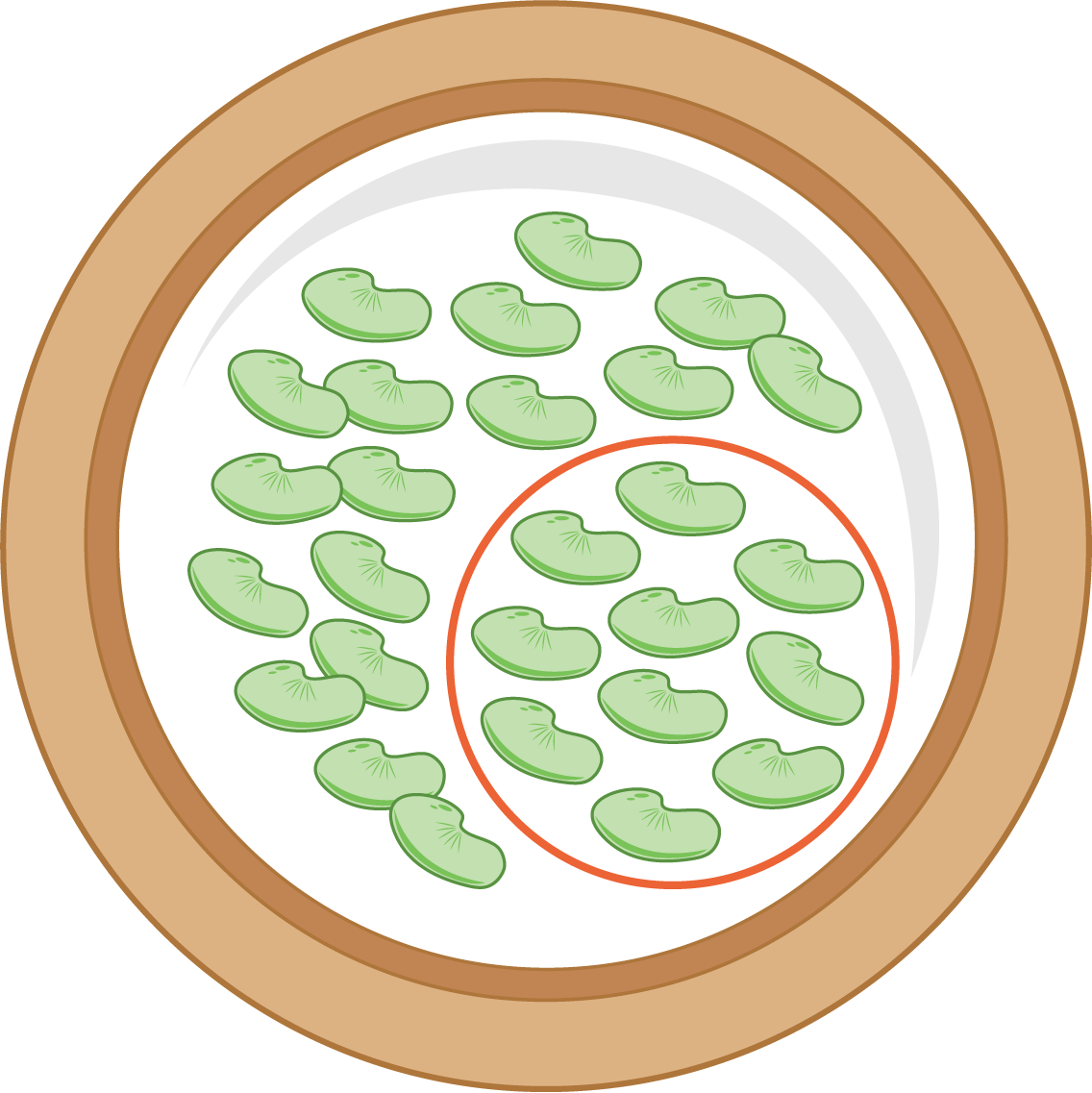 Beans on a plate.