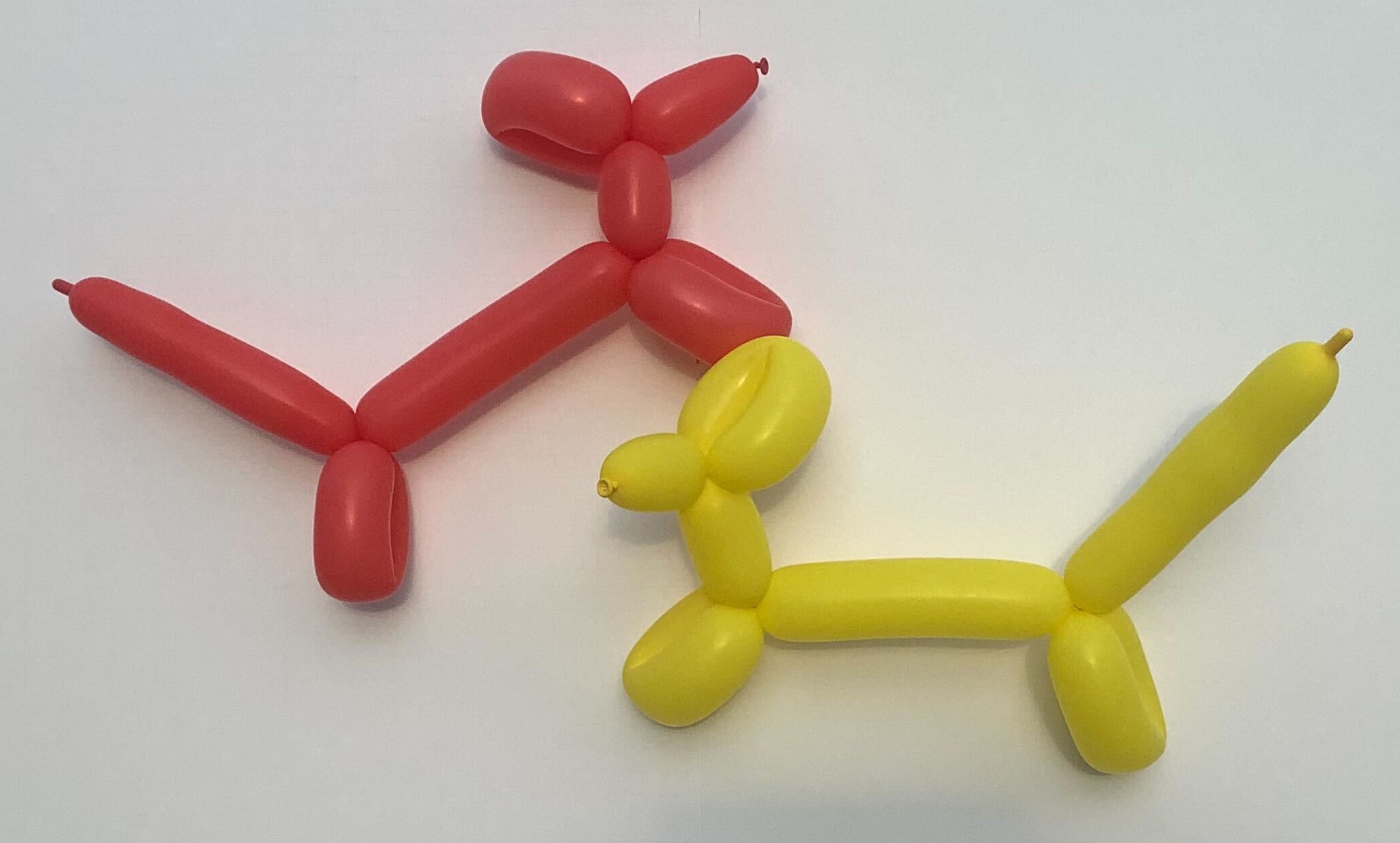 Photo of two balloon animal dogs.