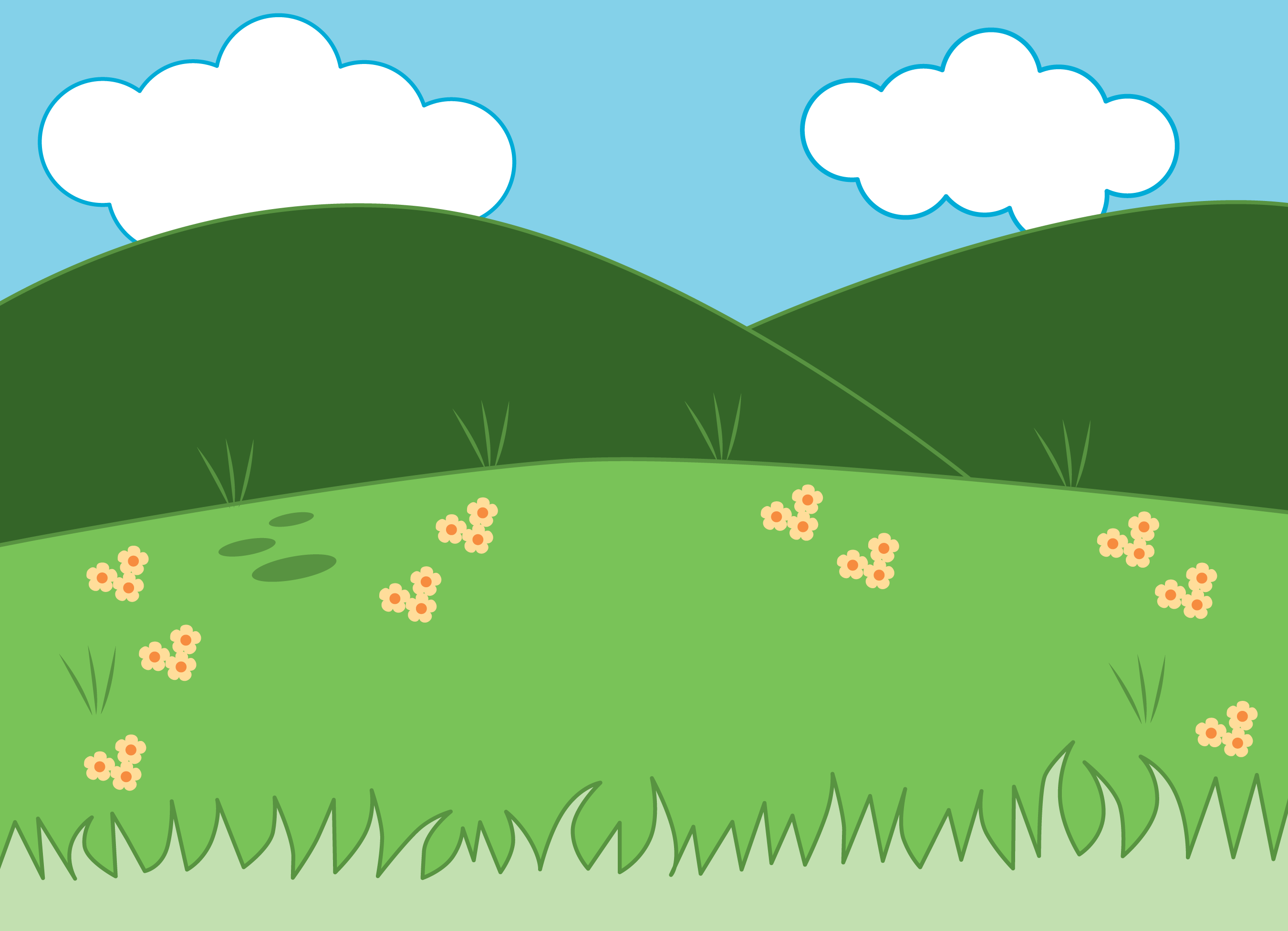 A field.