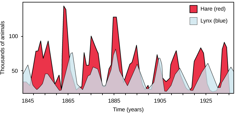 <p>A graph of hare and lynx numbers</p>
