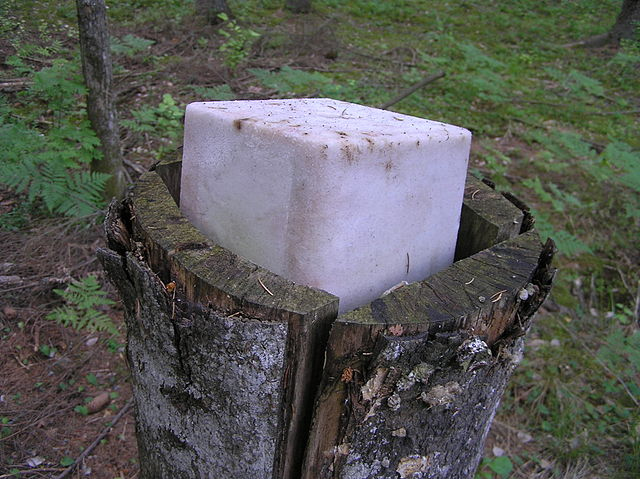 <p>A image of a salt-lick.</p>
