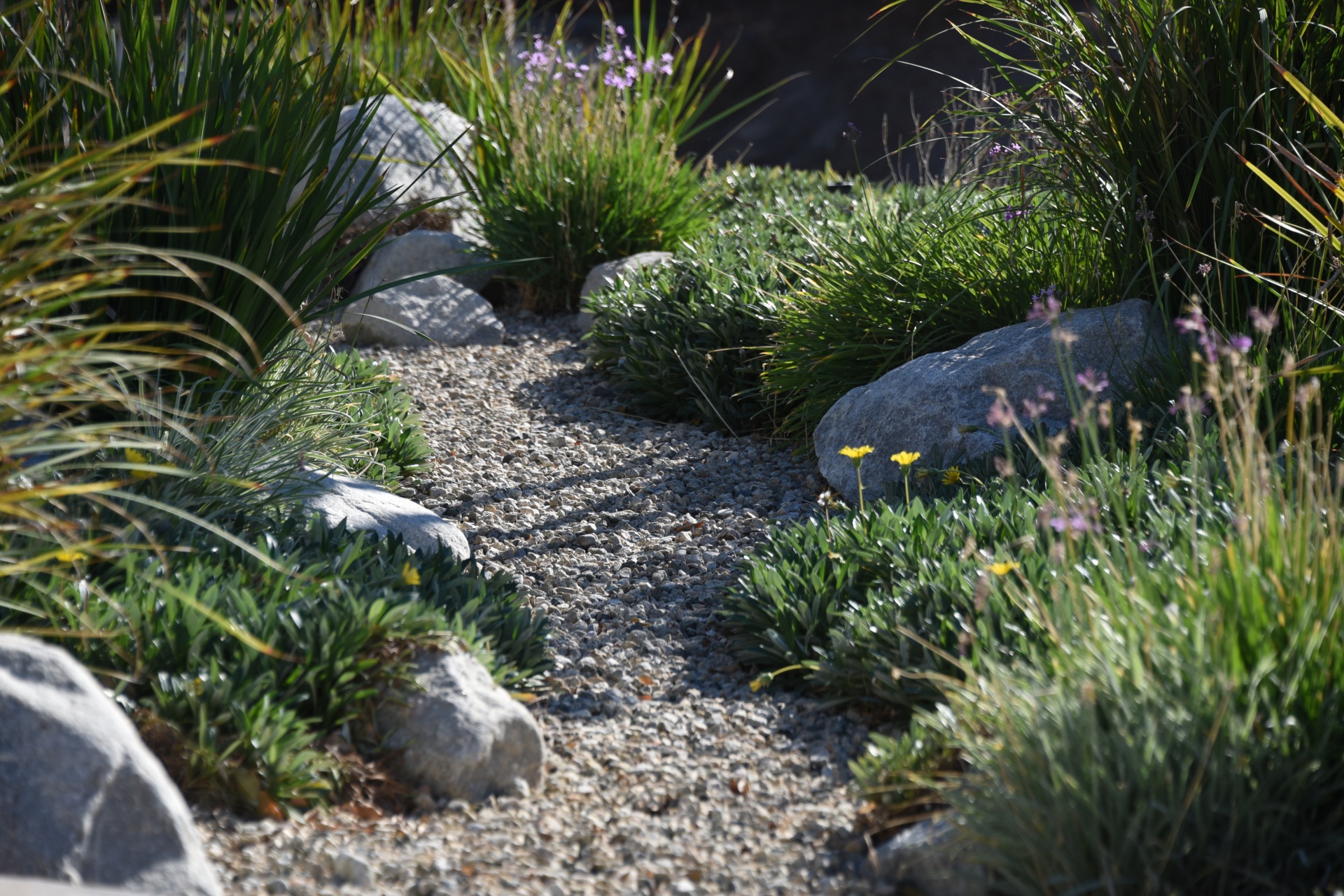 <p>Rocks in a garden</p>
