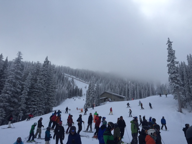 <p>A picture of people skiing on a hill. </p>
