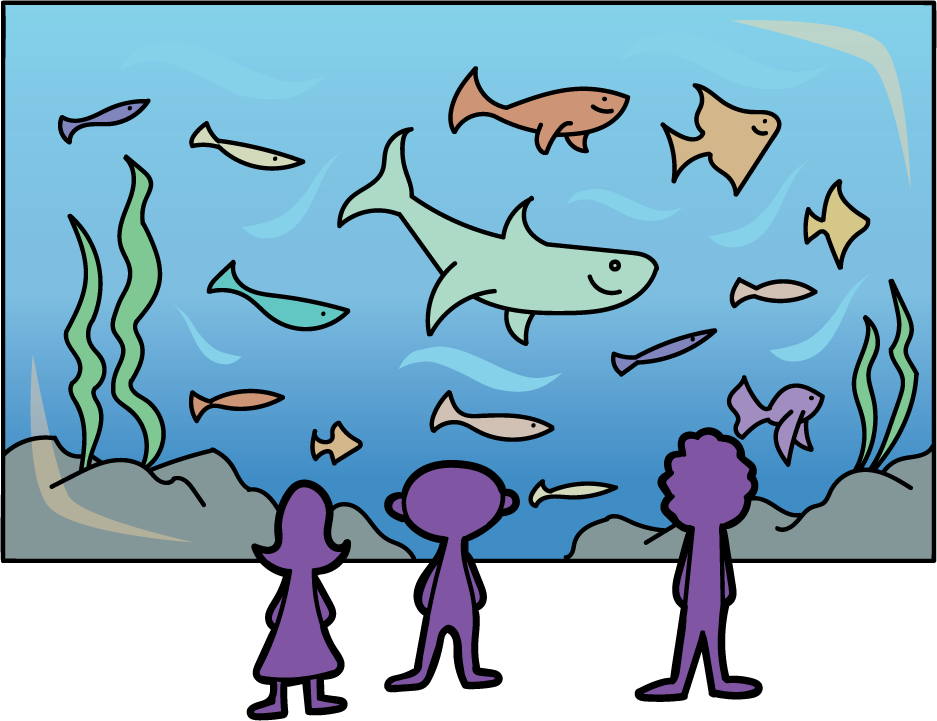 Students at an aquarium.