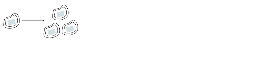 <p>The picture shows 1 bacterium (an irregular polygon with a double outline and light blue inside) for hour 0, then an arrow to the right, then 3 bacteria for hour 1.</p>
