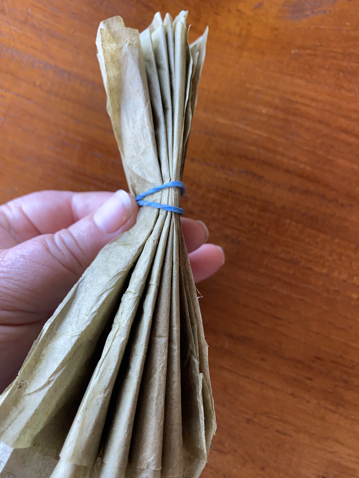 photograph of a strip of tissue paper tied together by a rubber band in the middle