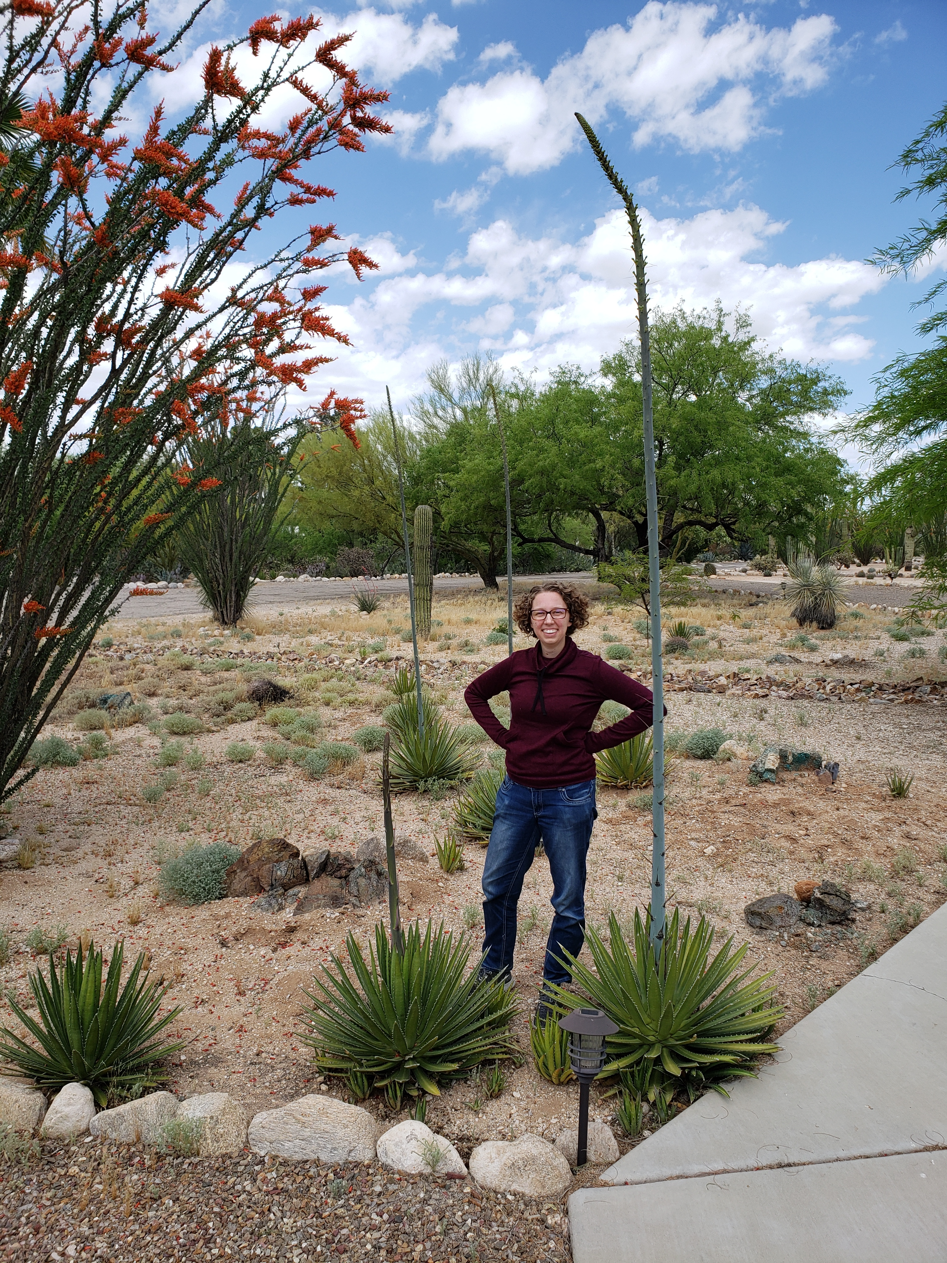 <p>A woman standing next to an agave plant with a very tall flower spike.</p>
