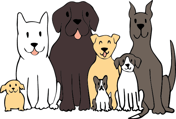 A picture of 2 small dogs, 2 medium sized dogs, and 3 large dogs.