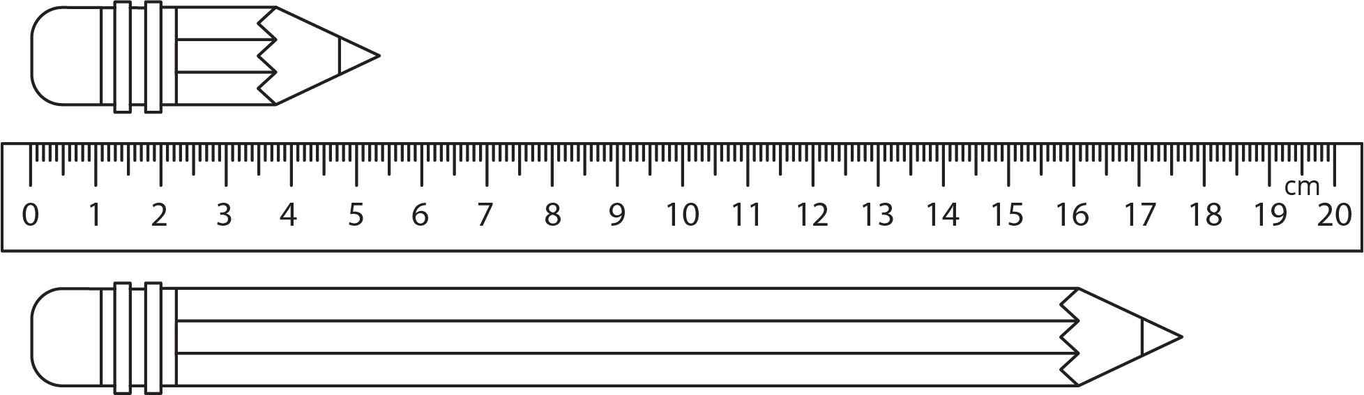 <p>Two pencils and ruler. </p>
