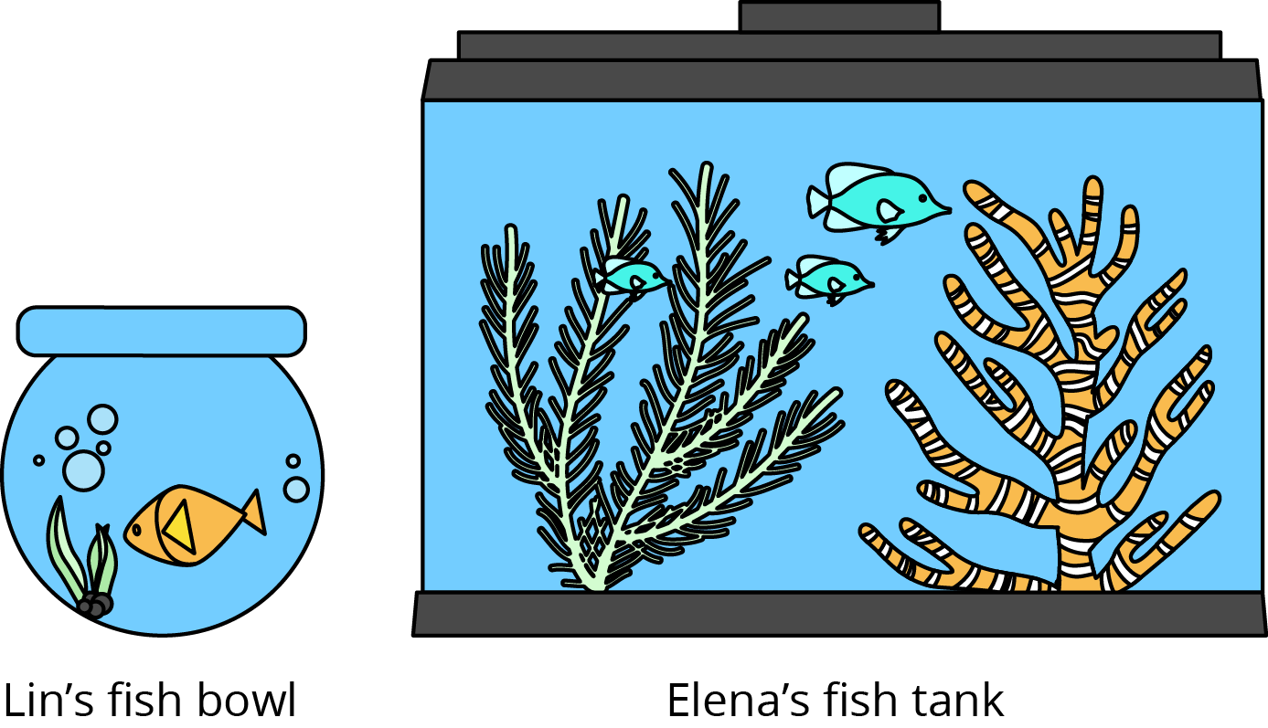 Lin’s fish bowl is smaller than Elena’s fish tank.