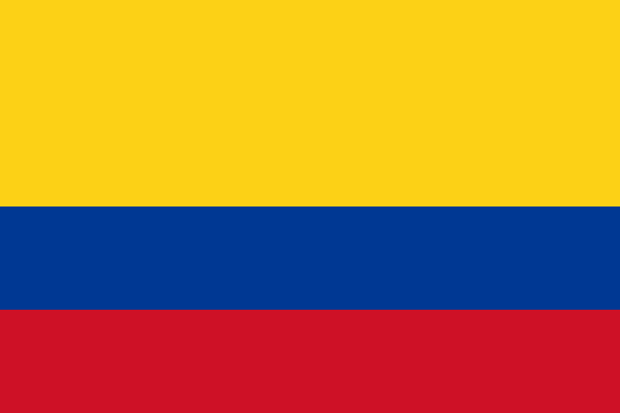<p>A rectangular figure that represents a flag. </p>
