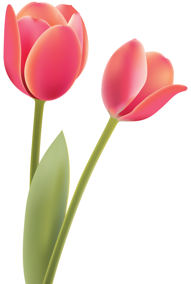 Flowers.