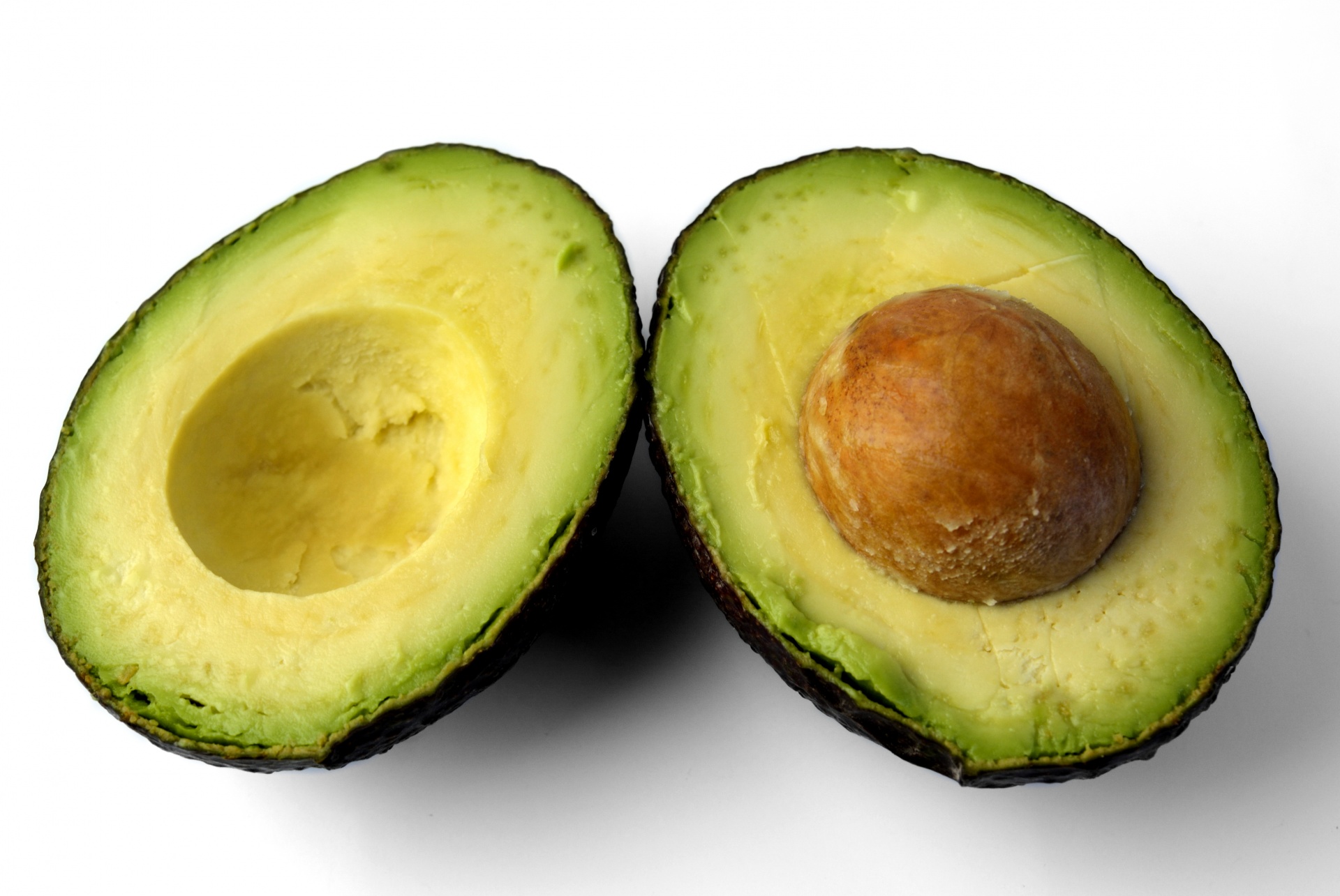 <p>A photograph of an avocado.</p>

