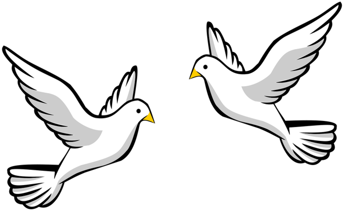 <p>Image of sequence of transformations with birds.</p>

