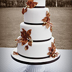 <p>Photograph of fall wedding cake </p>
