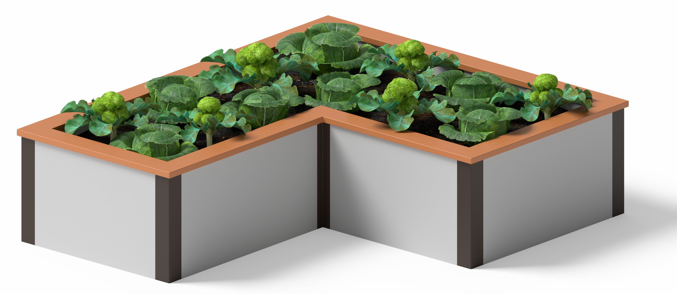 V-shaped raised bed garden. 