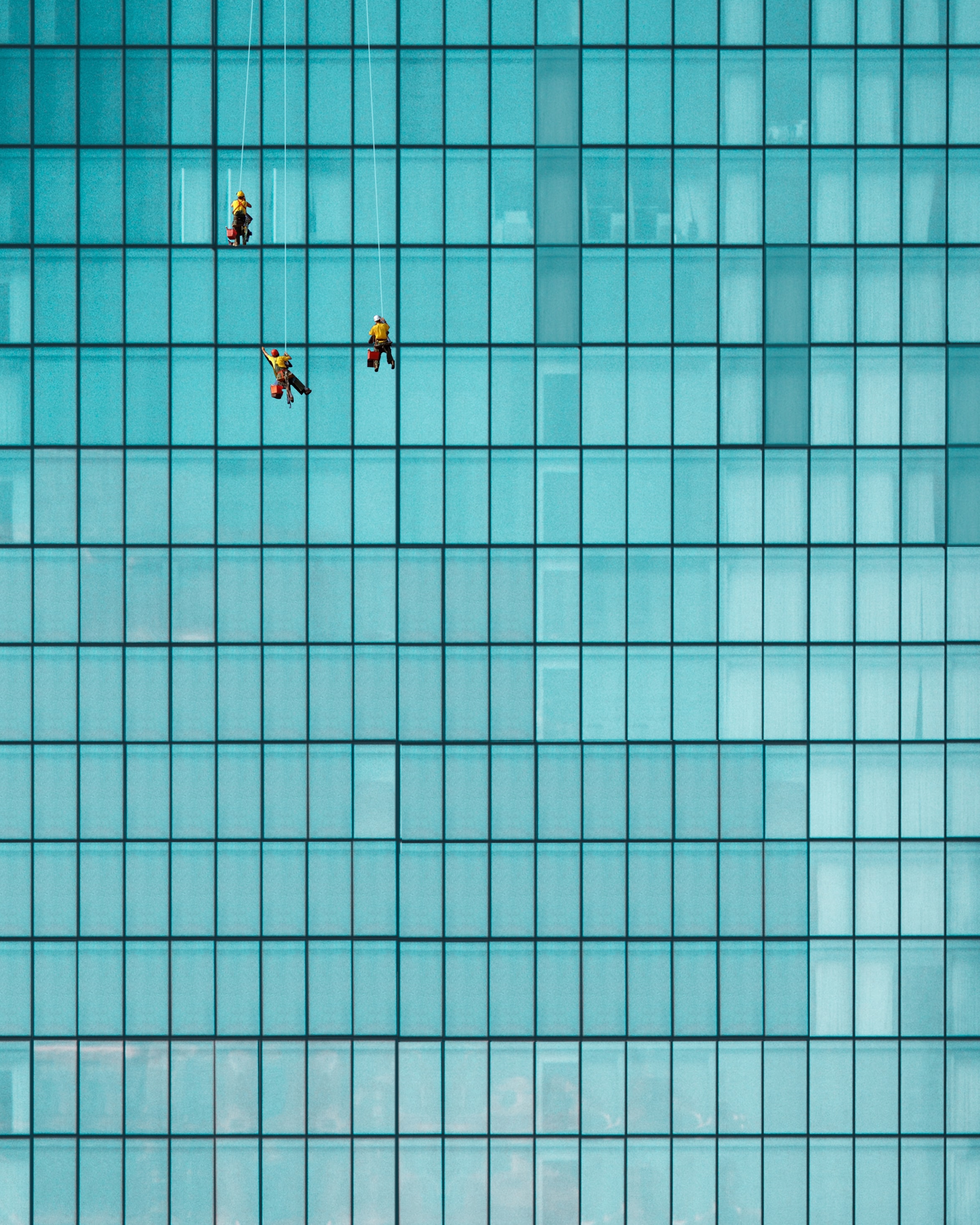 photograph of window washers and windows. Each window, width, about man's arm span, height, about one and one half man's height.  