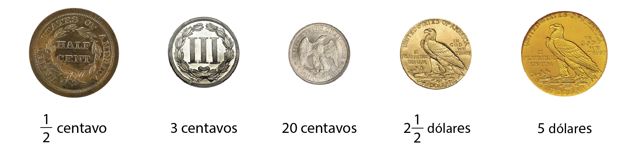 <p>A photo of five different coins. </p>
