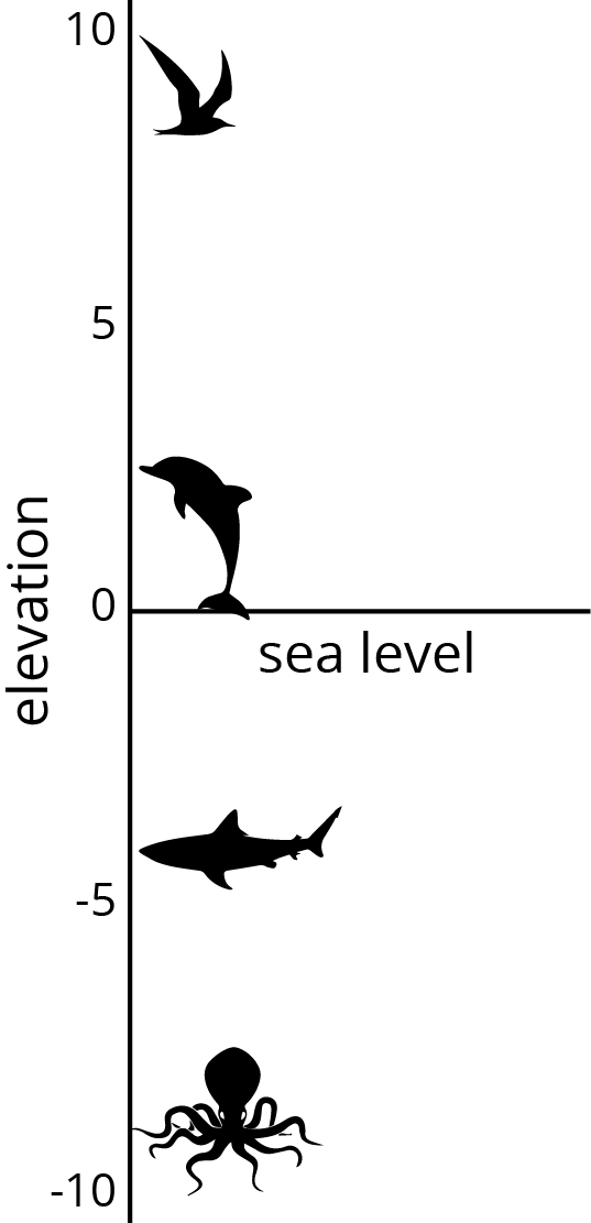 <p>Vertical number line, elevation, horizontal number line at zero, sea level.  Silhouettes of animal, from lowest to highest, octopus, shark, dolphin, seagull.</p>
