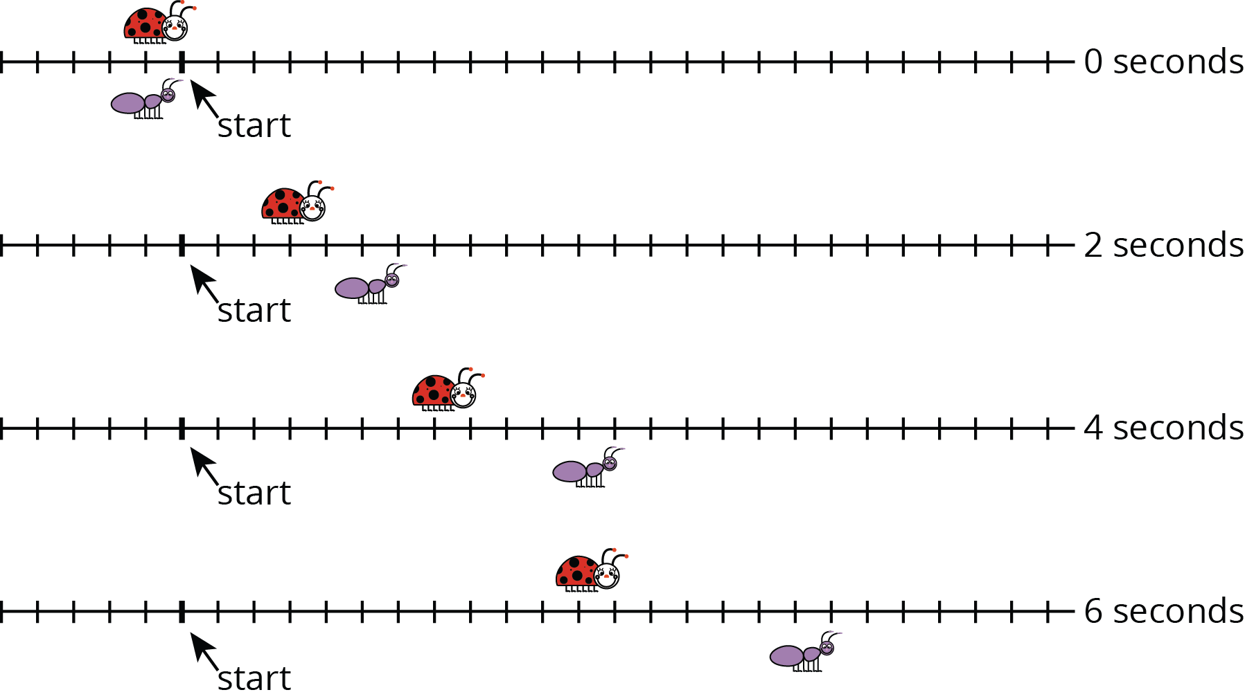 <p>4 number lines, 30 evenly spaced tick marks. </p>
