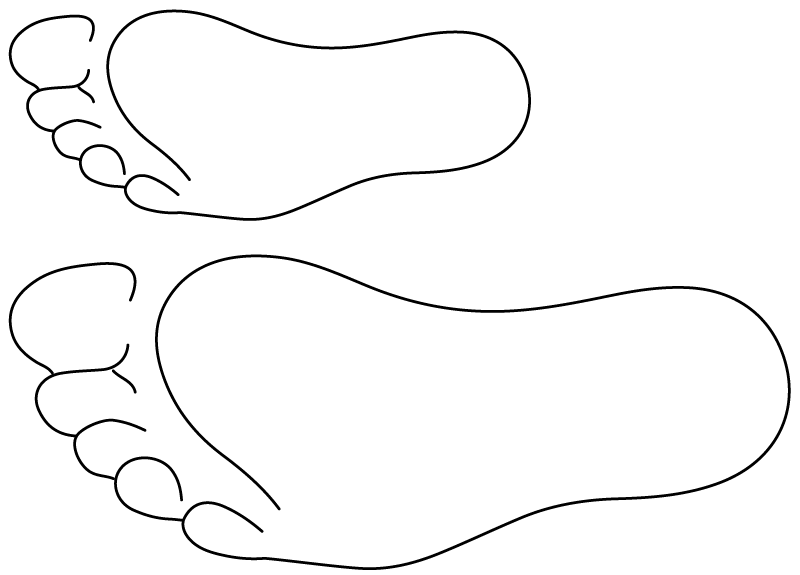 <p>Scale drawing of 2 week.</p>
