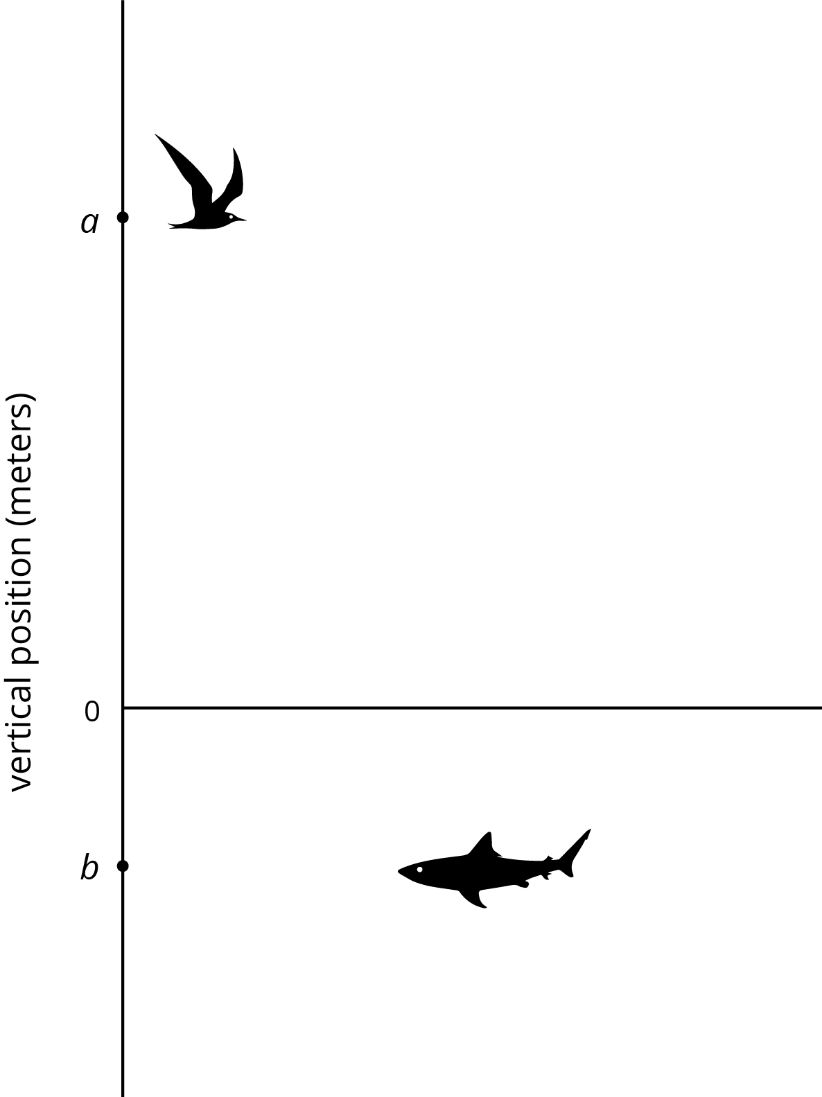 <p>A vertical number line. Vertical position, meters. </p>
