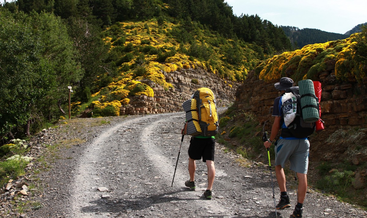 <p>two people hiking up a mountain trail</p>
