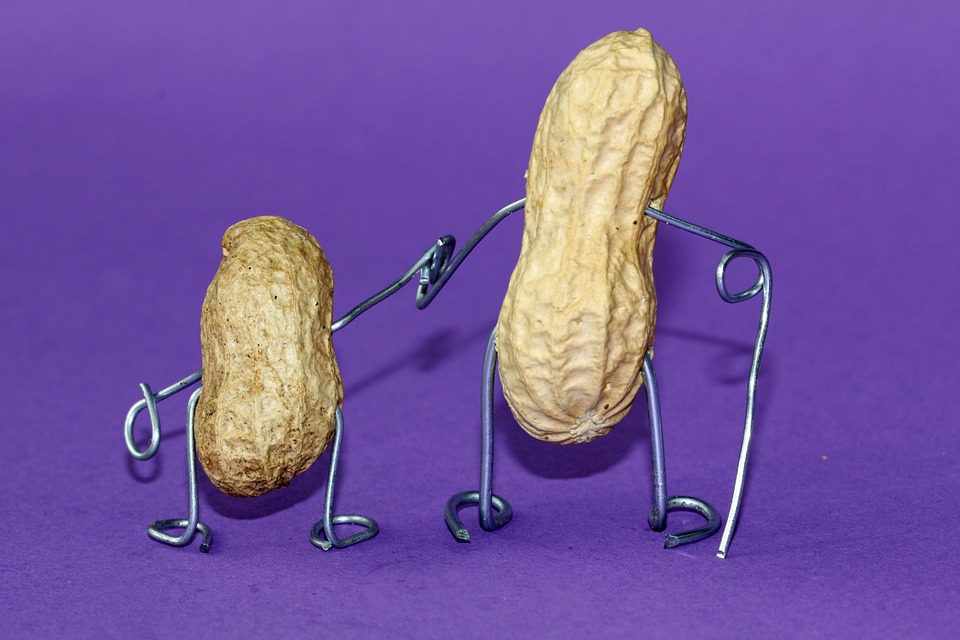 <p>two peanuts with wire arms and legs on purple background</p>
