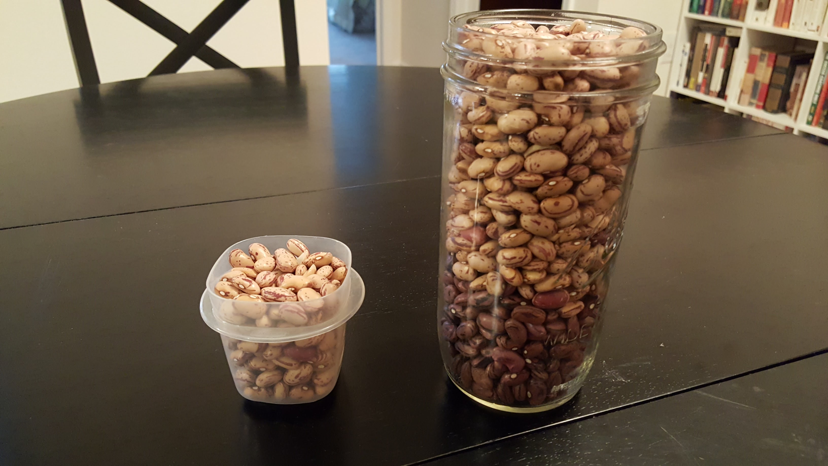 <p>Photo of two containers of beans.</p>

