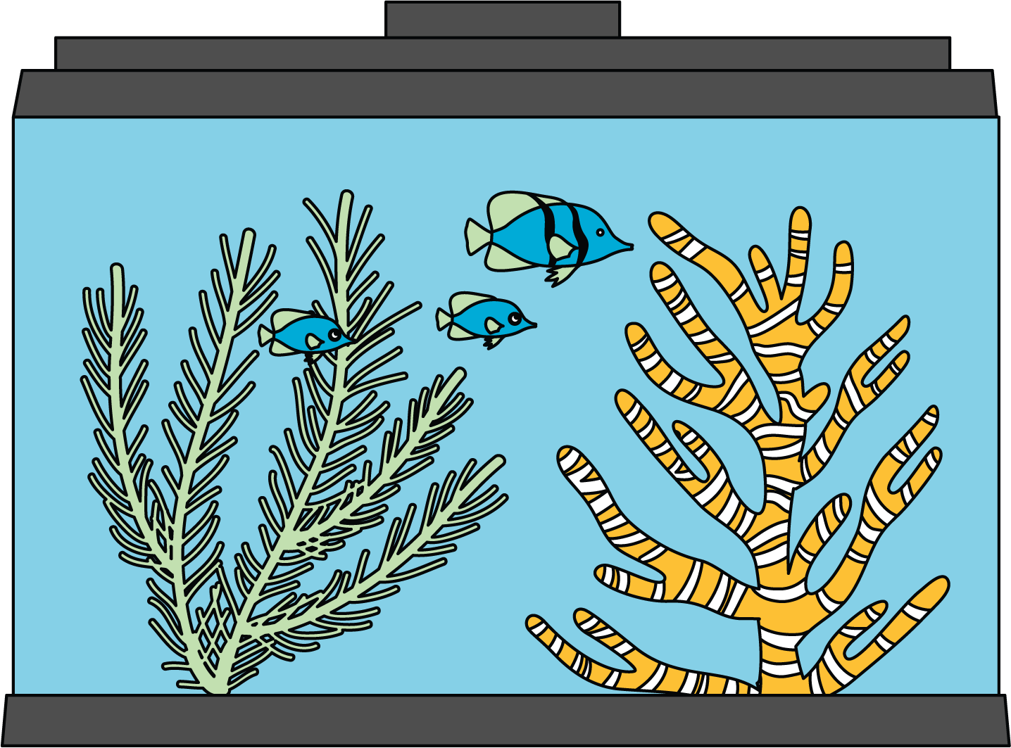 <p>illustration of a rectangular fish tank</p>
