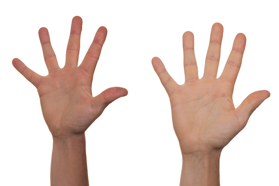 <p>two raised hands on white background</p>
