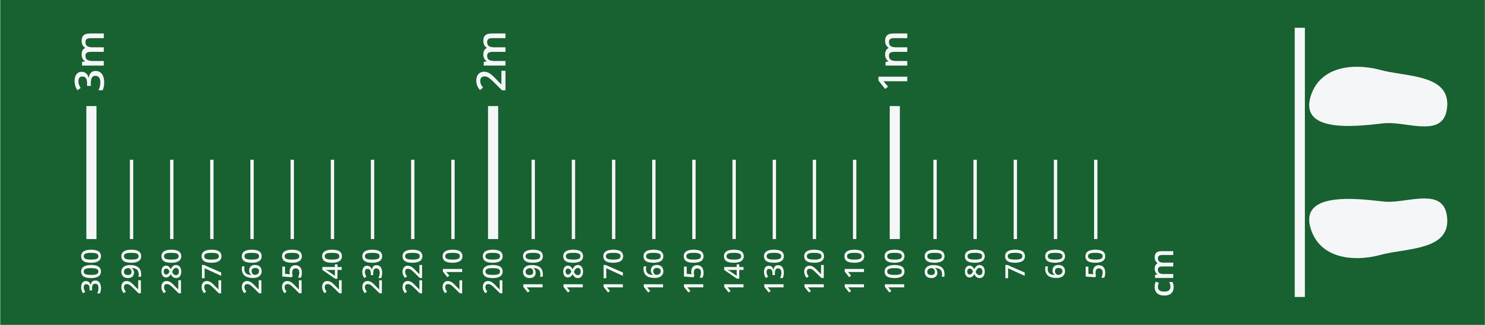 chart for long jump. scale, fifty to 3 hundred centimeters, by 10 centimeters. Also, scale 0 to 3 meters, by meters. 
