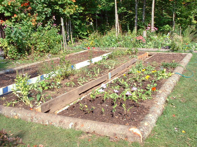 <p>vegetable garden</p>
