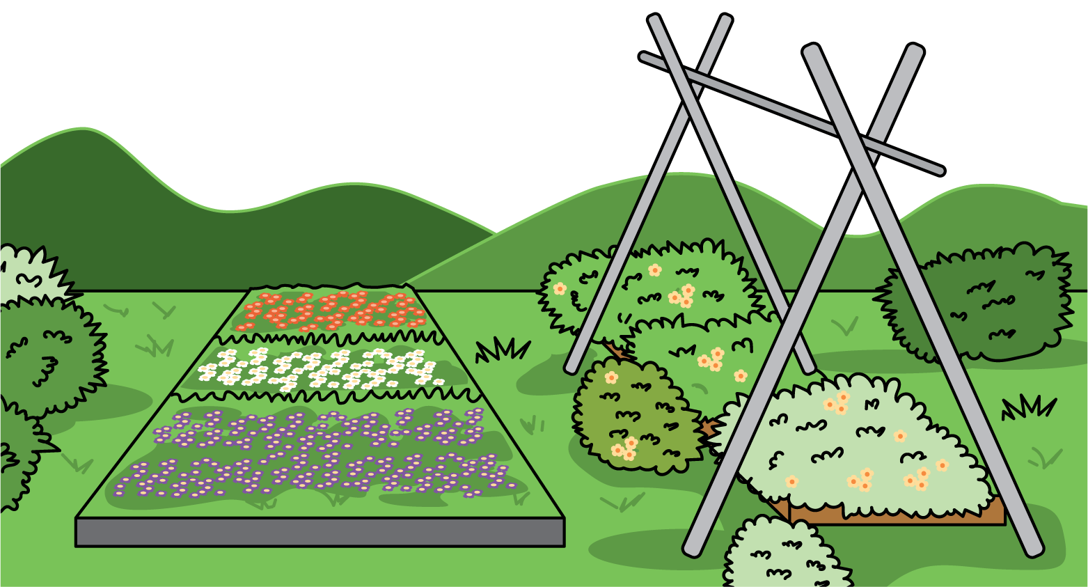 image of garden,<span> has 3 sections,</span><span> bushes and poles next to garden.</span>