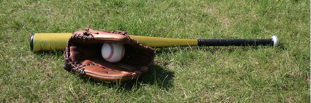 <p>baseball, glove, and bat on grass</p>
